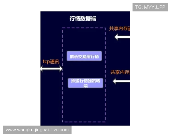 稳胆的意思是什么 彩票数字高频玩法防骗避坑